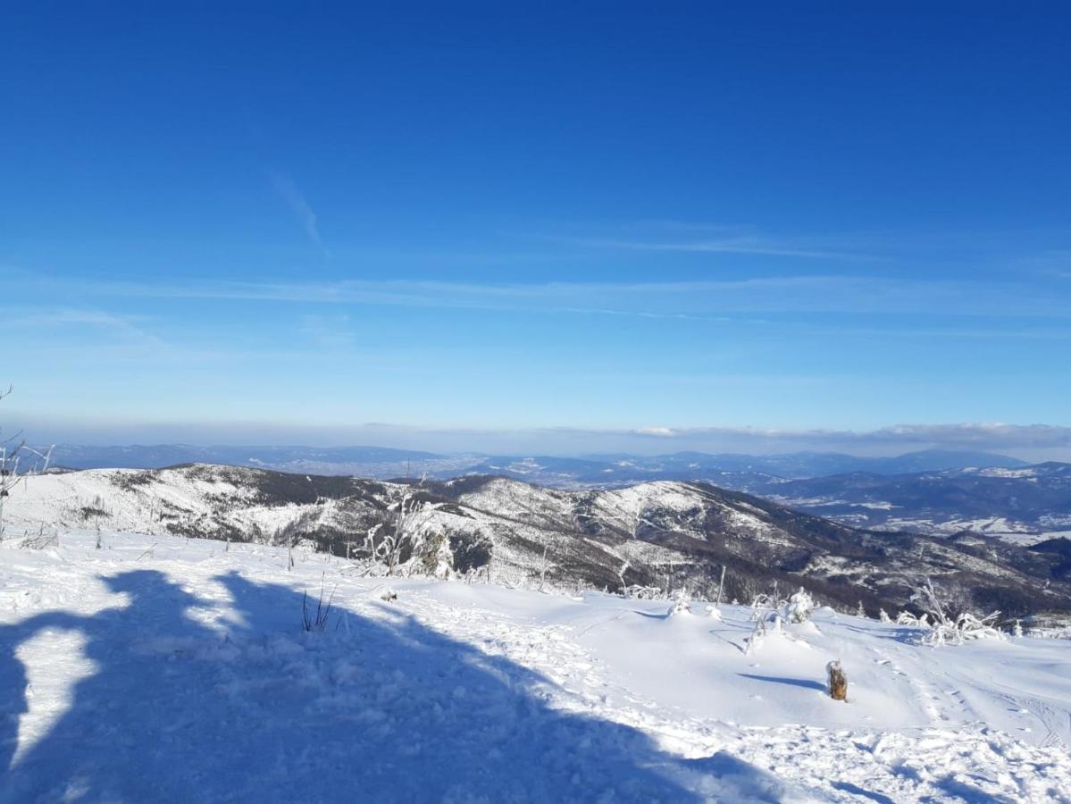 Chata Goralska Wojtasowka Kamesznica Exteriör bild