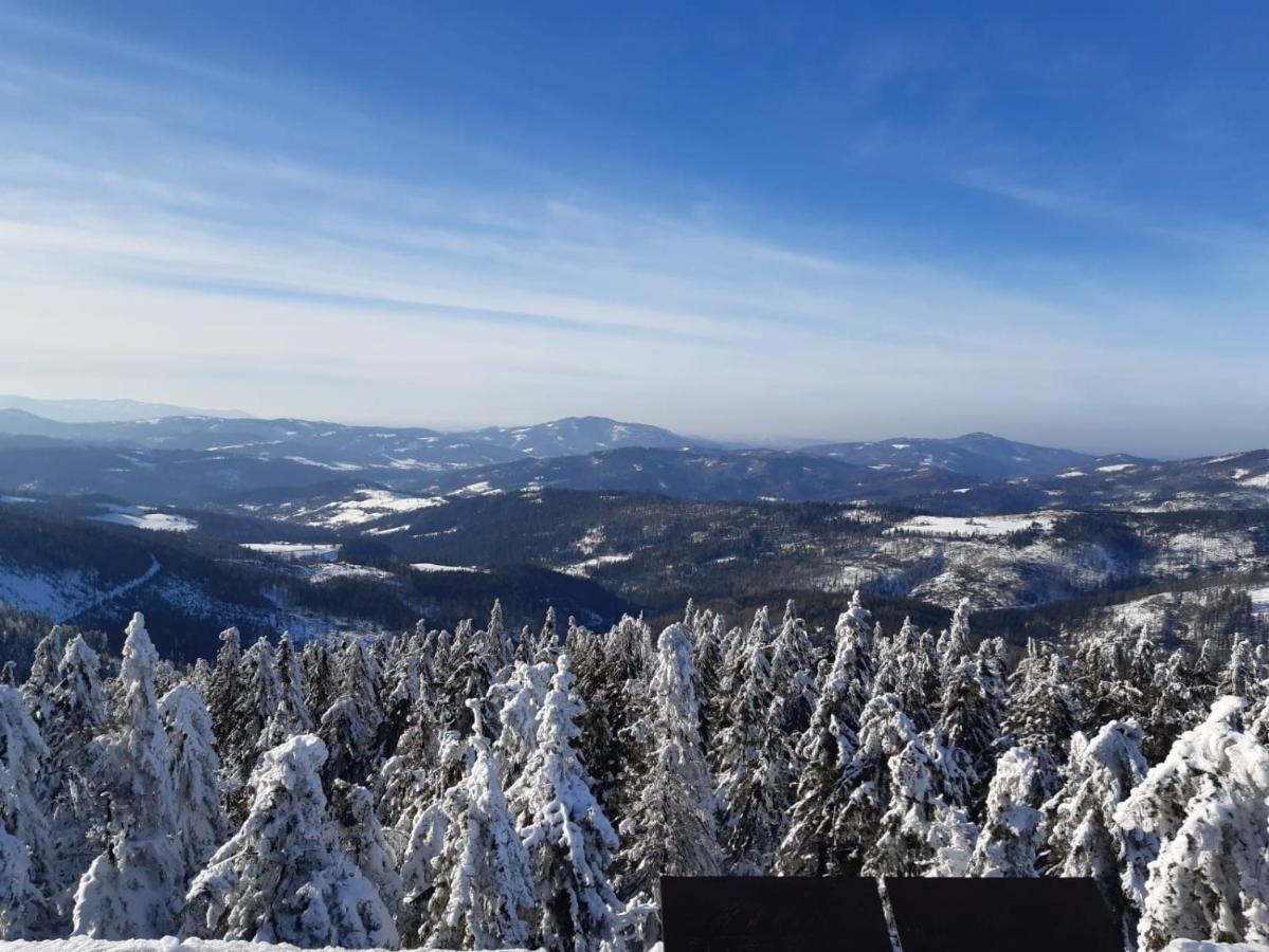 Chata Goralska Wojtasowka Kamesznica Exteriör bild