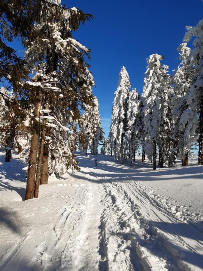 Chata Goralska Wojtasowka Kamesznica Exteriör bild