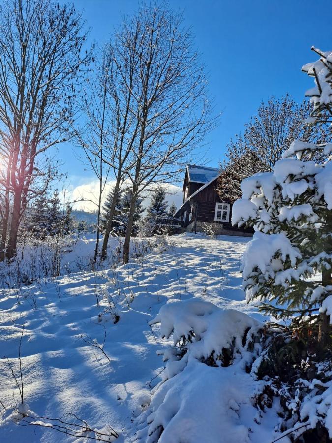 Chata Goralska Wojtasowka Kamesznica Exteriör bild
