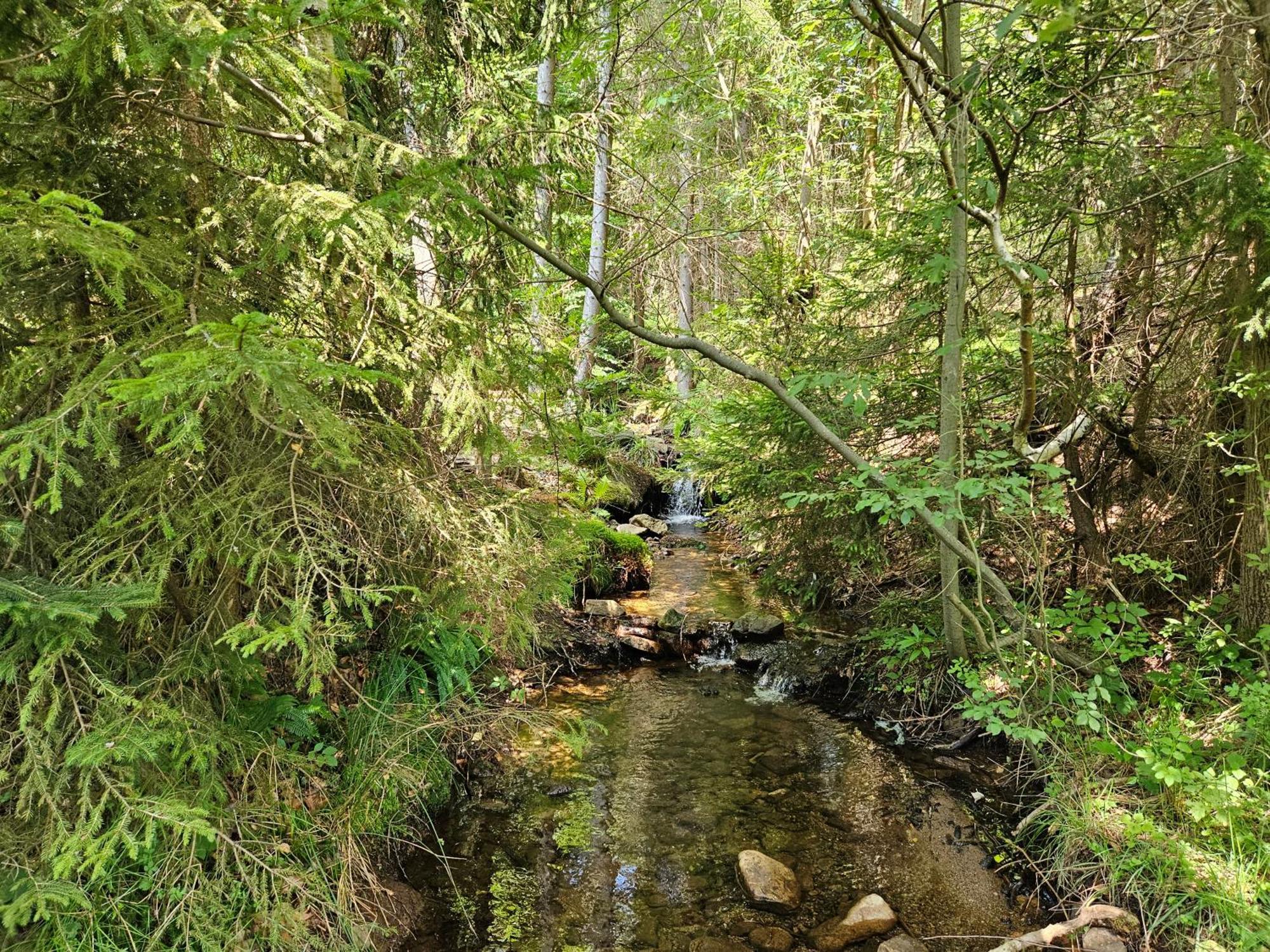 Chata Goralska Wojtasowka Kamesznica Exteriör bild