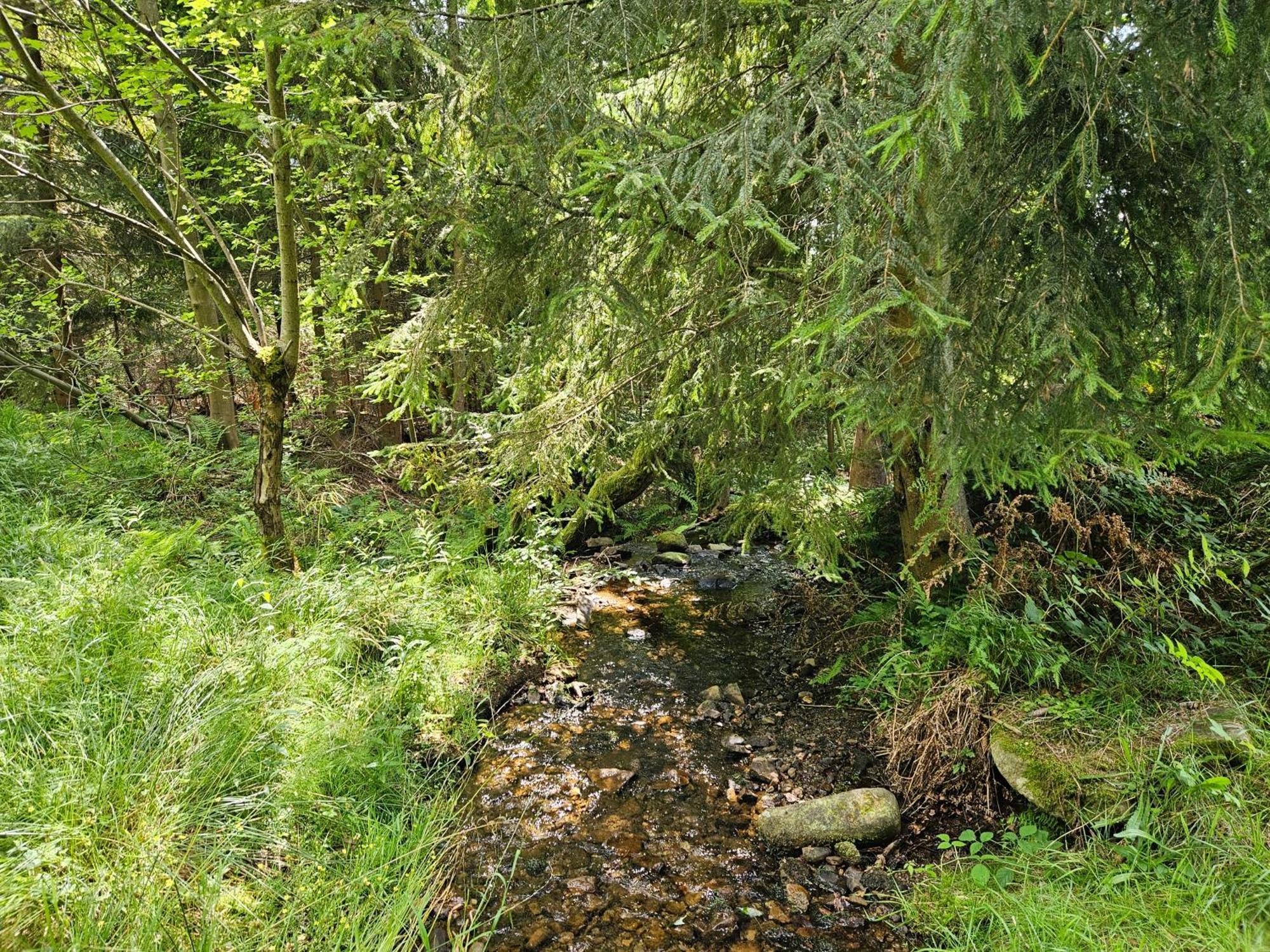 Chata Goralska Wojtasowka Kamesznica Exteriör bild