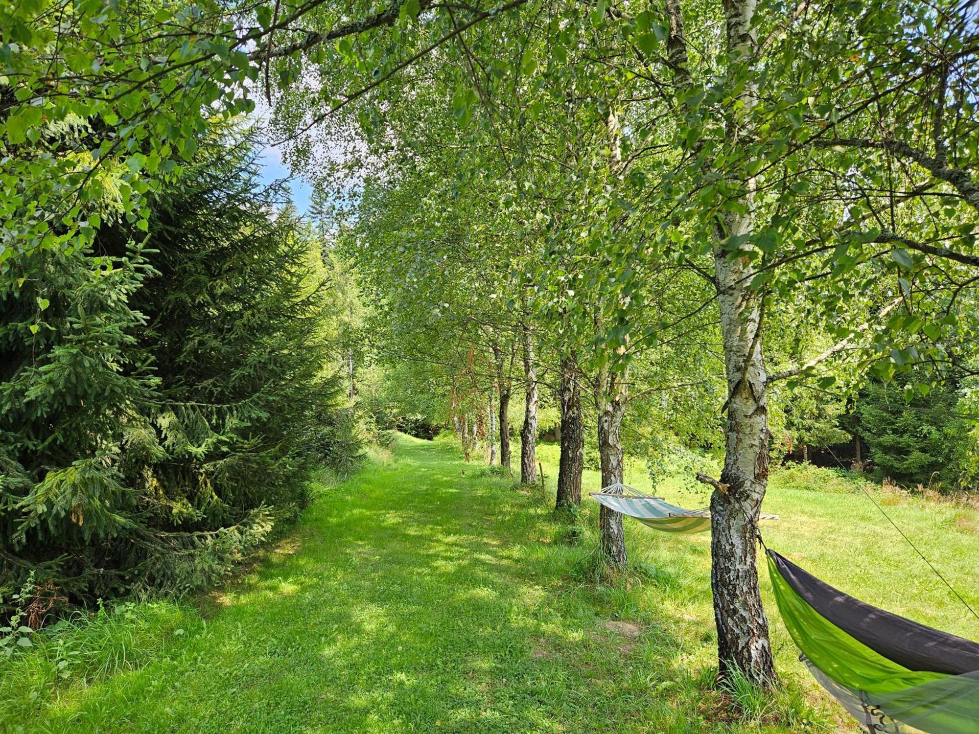 Chata Goralska Wojtasowka Kamesznica Exteriör bild
