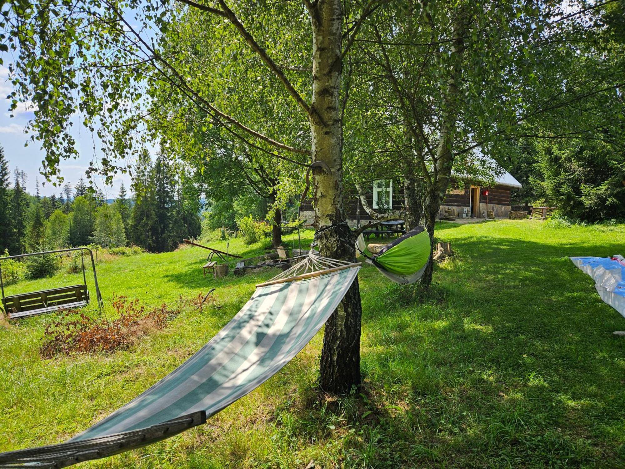 Chata Goralska Wojtasowka Kamesznica Exteriör bild