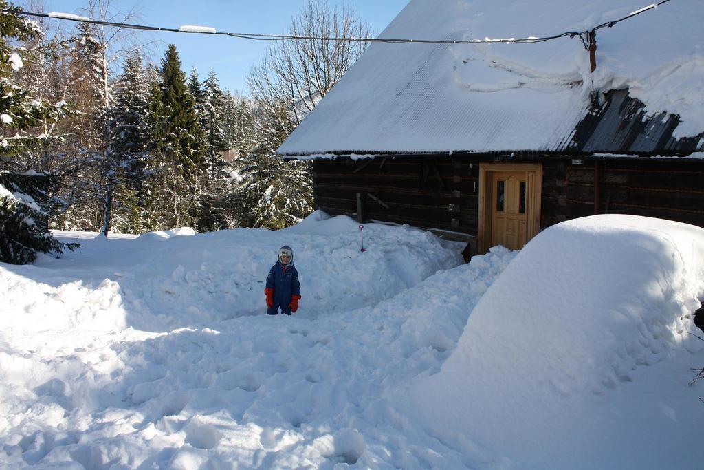 Chata Goralska Wojtasowka Kamesznica Exteriör bild
