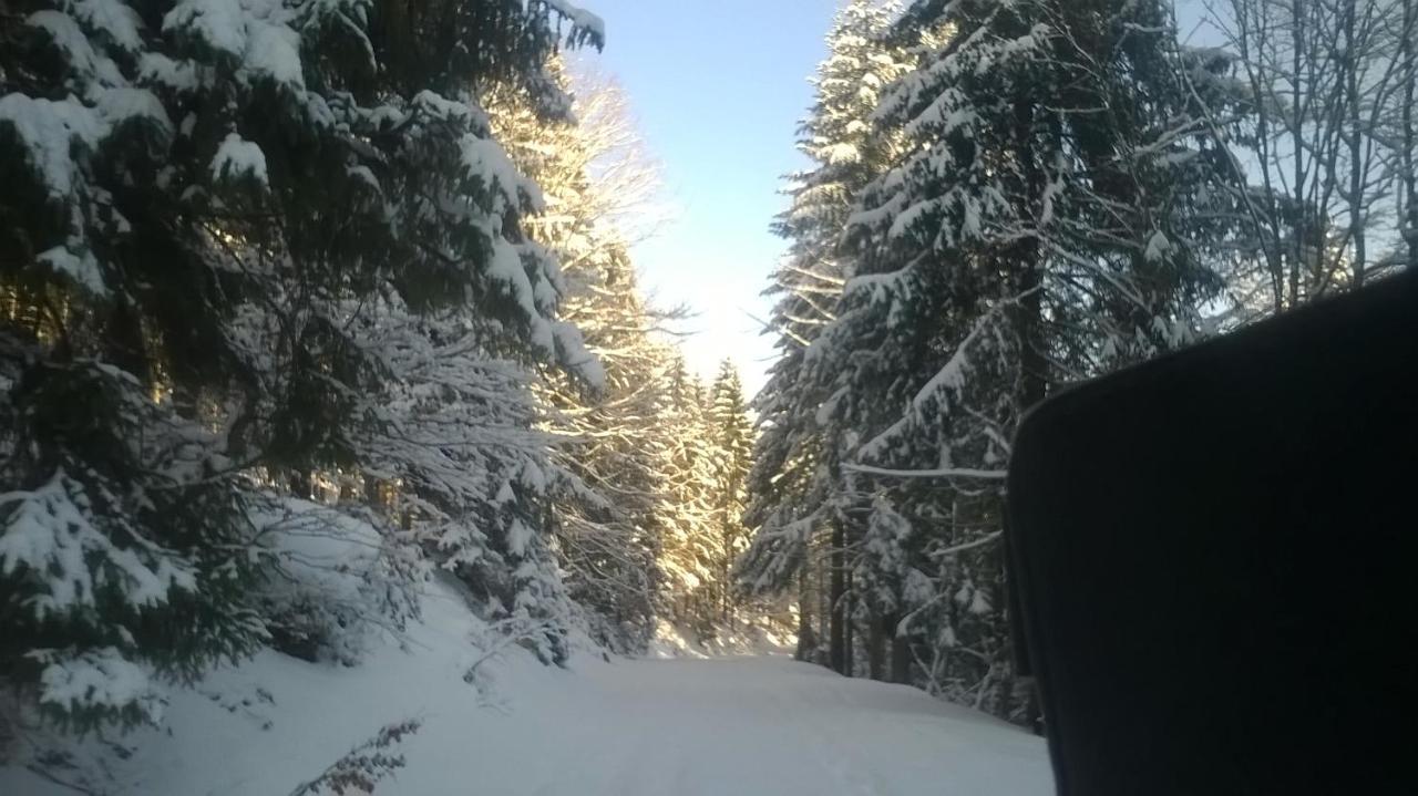 Chata Goralska Wojtasowka Kamesznica Exteriör bild