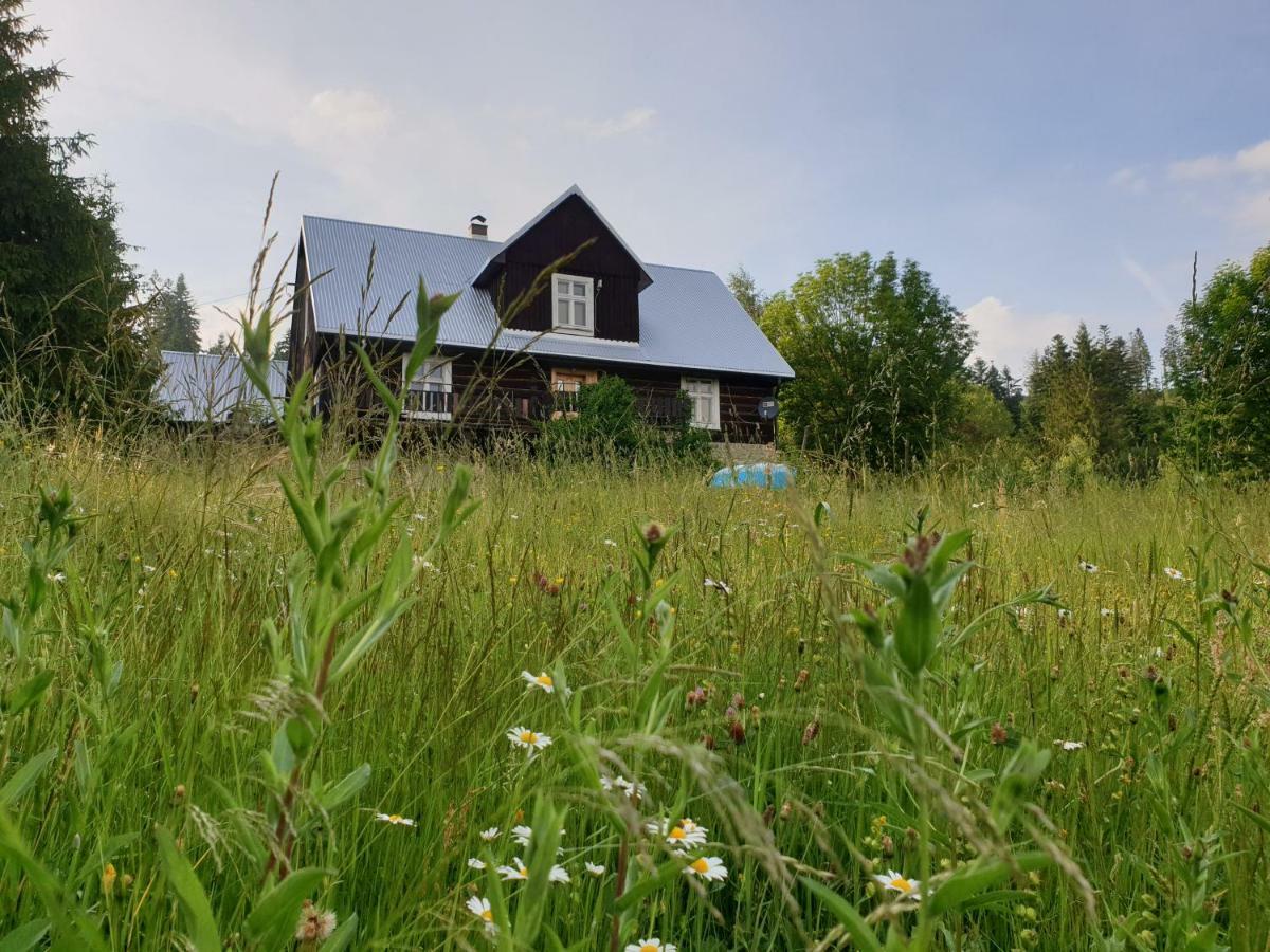Chata Goralska Wojtasowka Kamesznica Exteriör bild